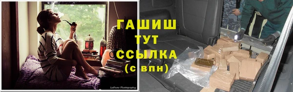 гидра Алексин