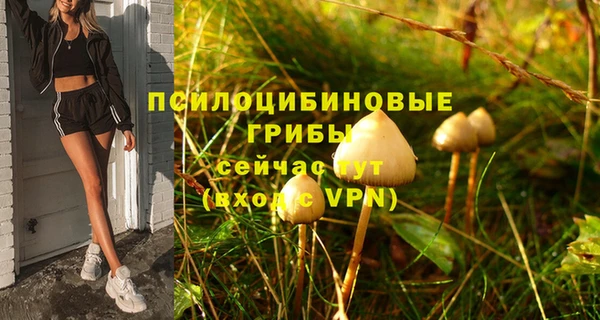 гидра Алексин