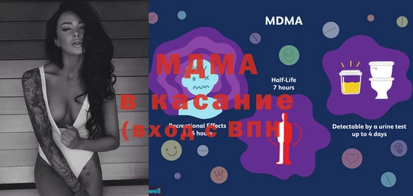 прущие грибы Абаза