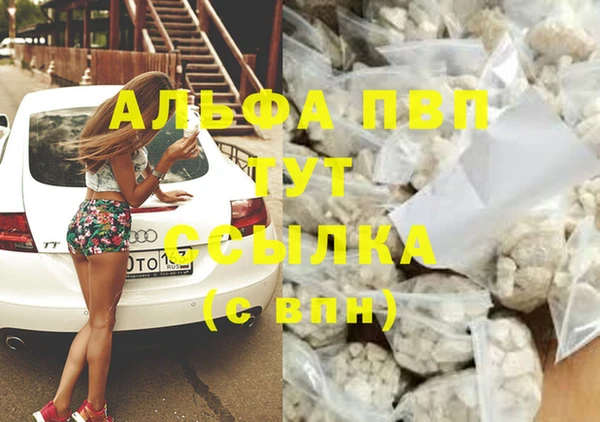 прущие грибы Абаза