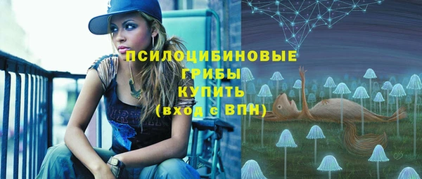 прущие грибы Абаза